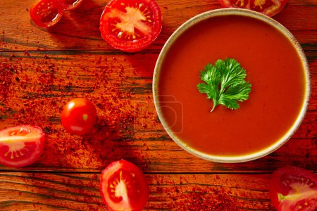 Andalusian gazpacho tomato sauce in red