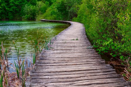 Boardwalk in the park Plitvice lakes