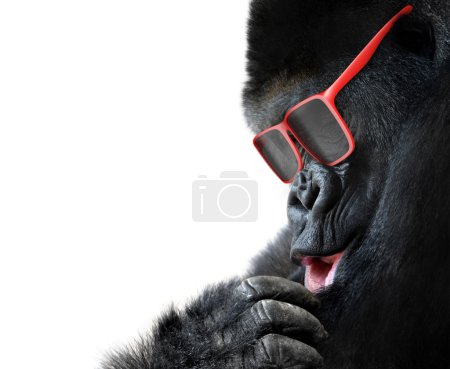 Unusual animal fashion, closeup of gorilla face with red sunglasses