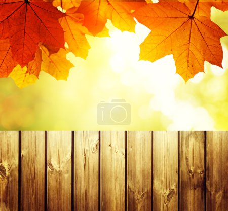fence in autumn forest