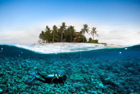 Scuba diving diver below coconut island kapoposang sulawesi indonesia underwater bali lombok