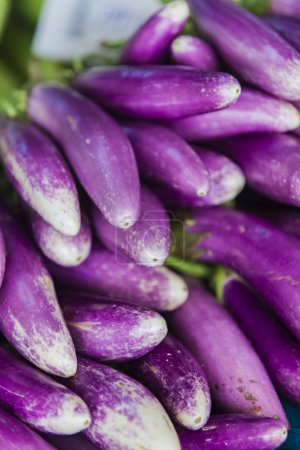 Eggplants on the market in Mumbai