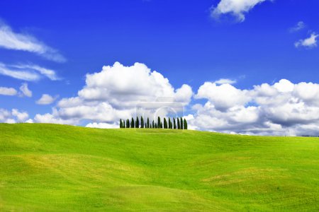 Nature landscapes- green hills of vall d'Orcia, Tuscany, Italy