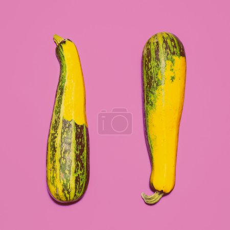 Two zucchini on bright pink background. design Photo