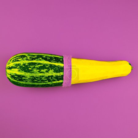 glamorous zucchini on pink background. design photo