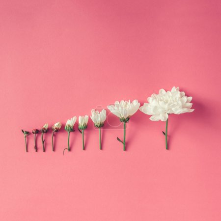 Creative arrangement of flowers  