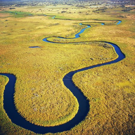 Okavango river, aerial view
