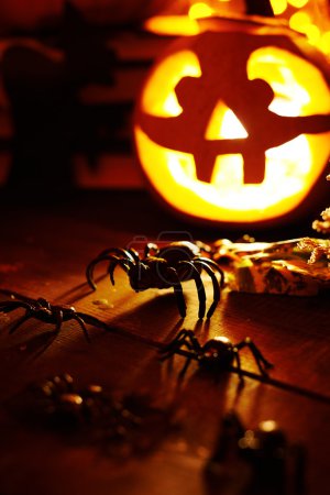 Halloween spiders and jack-o-lantern