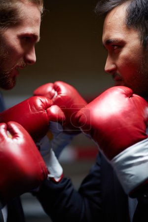 Businessmen in boxing gloves