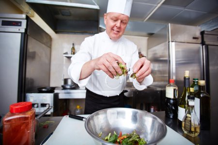 Male chef cooking salad