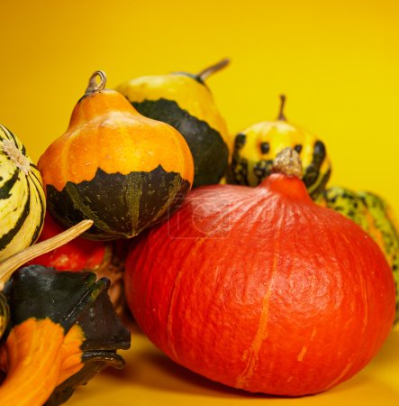 Autumn with seasonal pumpkin