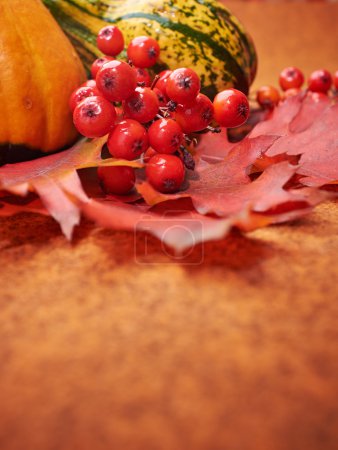 Autumnal background with pumpkins and leaves