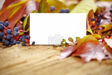 Blank card amongst autumn leaves