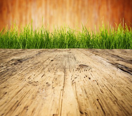 Table and grass background