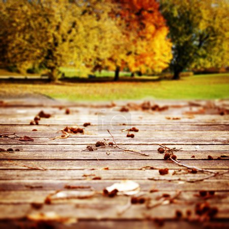 Wooden autumn background