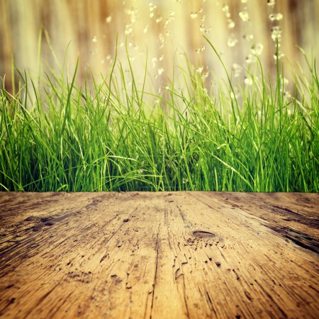 Table and grass background
