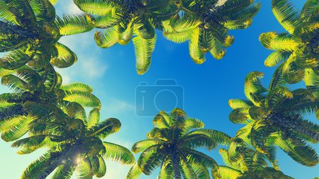 Coconut palms against blue sky