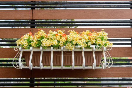 balcony flower box filled with plant-pots
