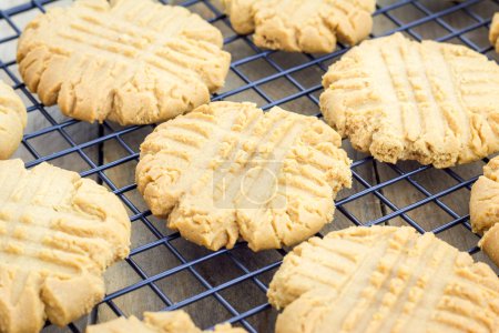 Freshly baked homemade peanut butter cookies on a cooling rack