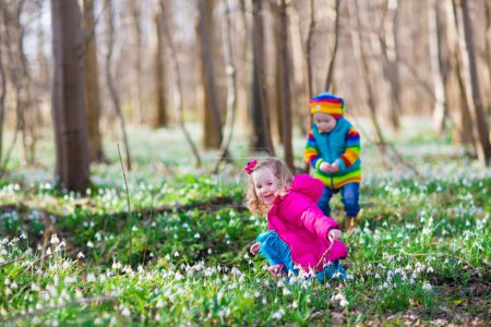 Kids playing in a spring forest