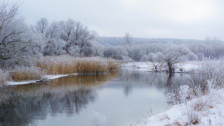 Winter landscape with river