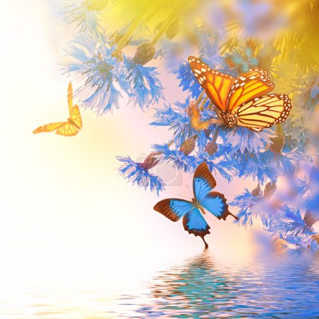 Blue cornflowers and butterflies