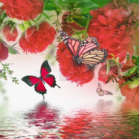 Peonies and butterfly