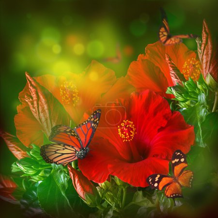 Hibiscus and butterflies
