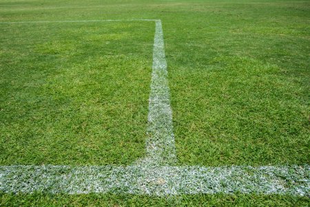 soccer field with white stripe