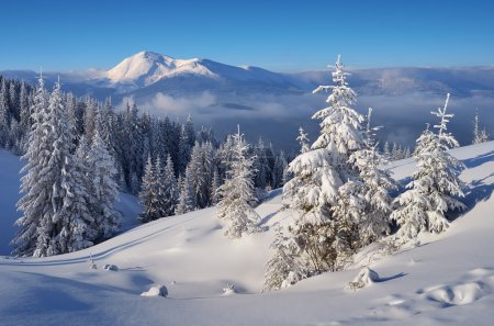 Beautiful winter landscape 