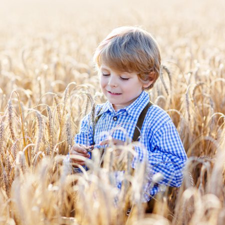 Funny little kid boy in leather shors, walking  through wheat fi