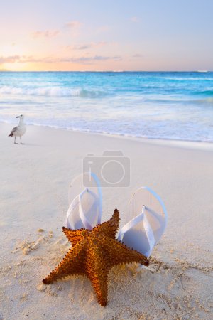 Art flip flops and starfish on a tropical beach 