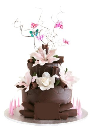 Fancy Chocolate Celebration Cake