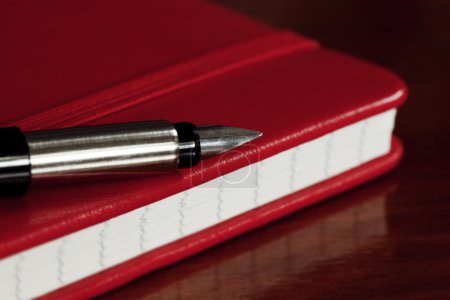 Red Book and Fountain Pen