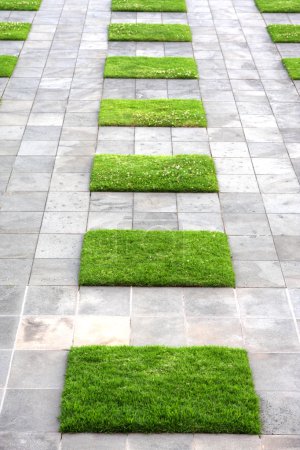 Geometric Paving and Lawn