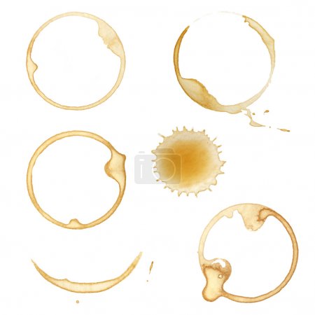 Collection of Coffee Stains