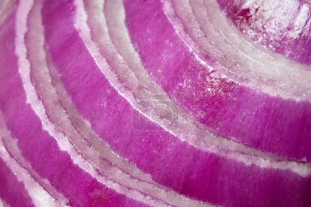 Red Onion Slices