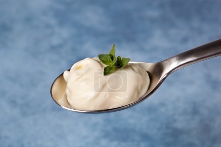 Spoonful of Herbed Mayonnaise