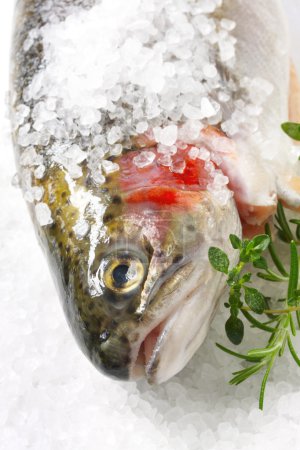 Salt-crusted Trout