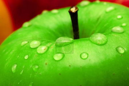 Fresh green apple macro photo