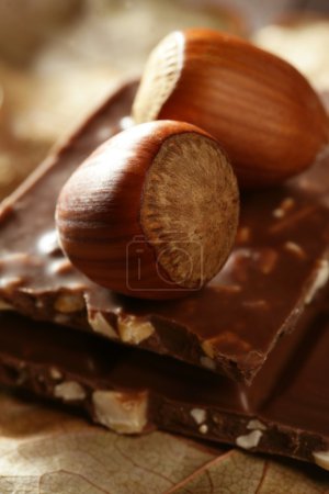 Hazelnuts and chocolate