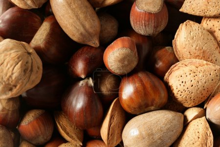 Nuts mix, walnuts, pecam hazelnut, almond, chestnut