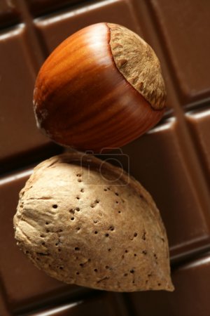 Hazelnuts, almonds and chocolate