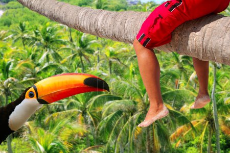 Horizontal palm tree trunk sitting legs tropical toucan