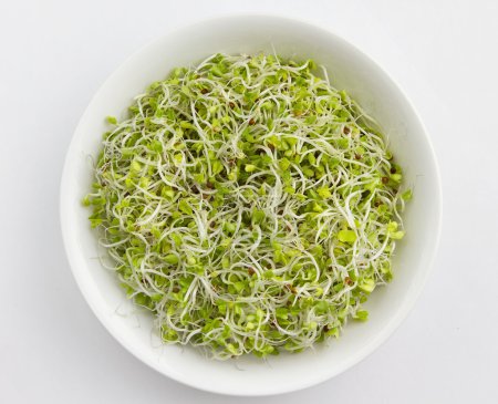 Fresh sprouts in a bowl