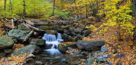 Autumn creek panorama