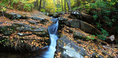 Autumn creek on rocks with foliage panorama