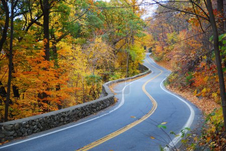 Winding Autumn road with colorful foliage