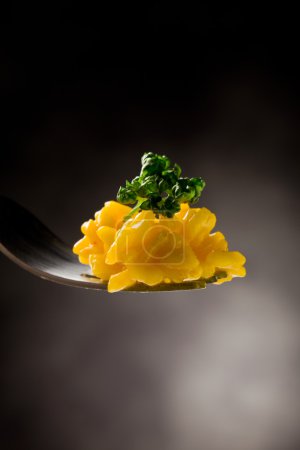 Fork with risotto with saffron