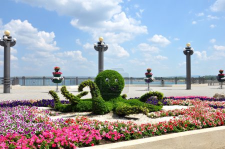 Octopus, floral arrangement on the seafront of Anapa